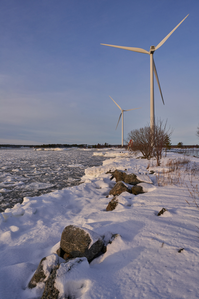 Samyang V-AF 24mm f1.8_12w.jpg