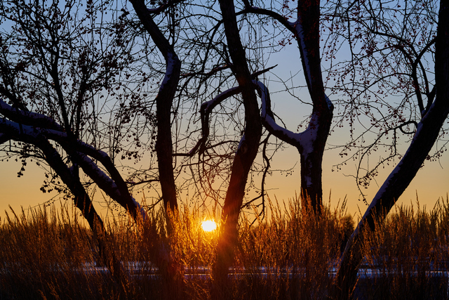 Nikon Z 85 1.8_33w.jpg