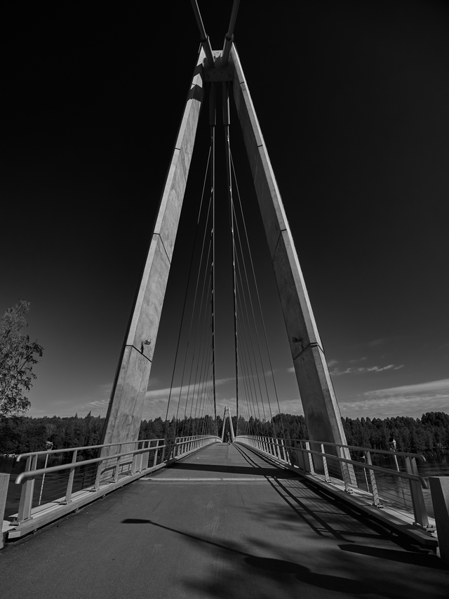 Olympus 8-25mm f4_23w.jpg