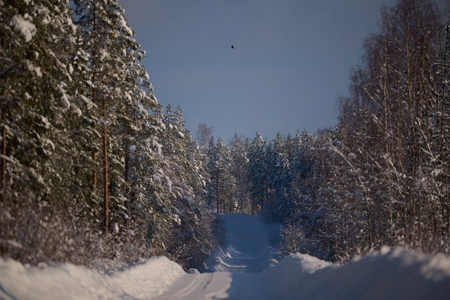 Nikon Z 400mm f2.8 TC_22w.jpg