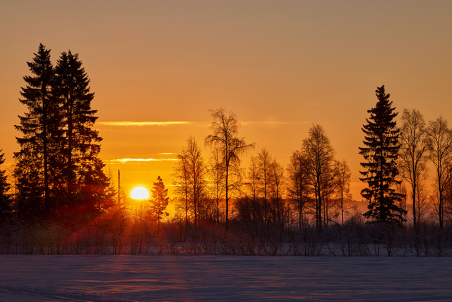 Canon RF 135 f1.8_12w.jpg