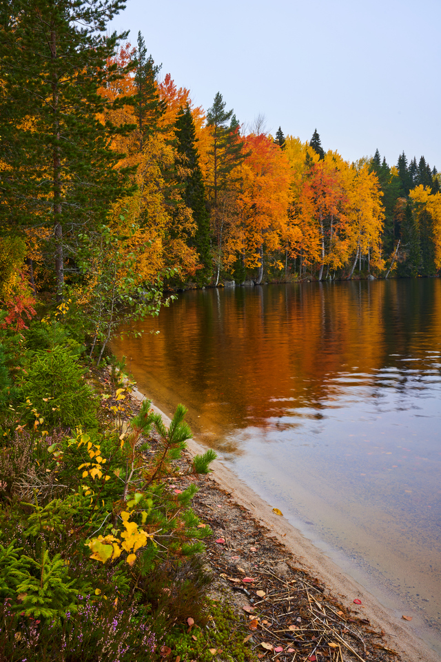 Voigtländer 35mm f1.2_23w.jpg