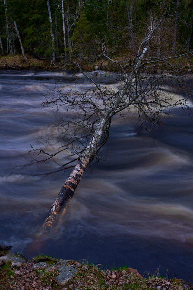 Sony FE 35 f1.4 GM_11w.jpg