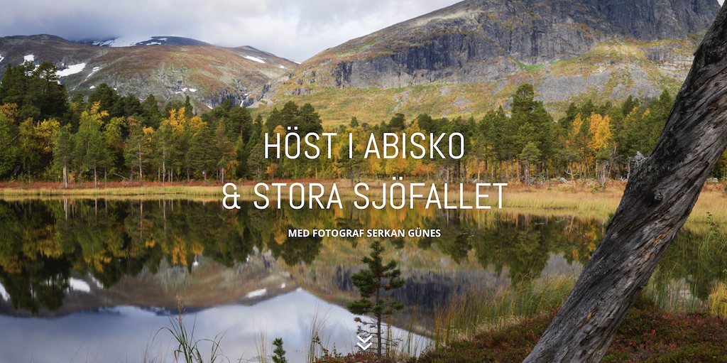 Skärmavbild 2022-10-04 kl. 12.22.30.png