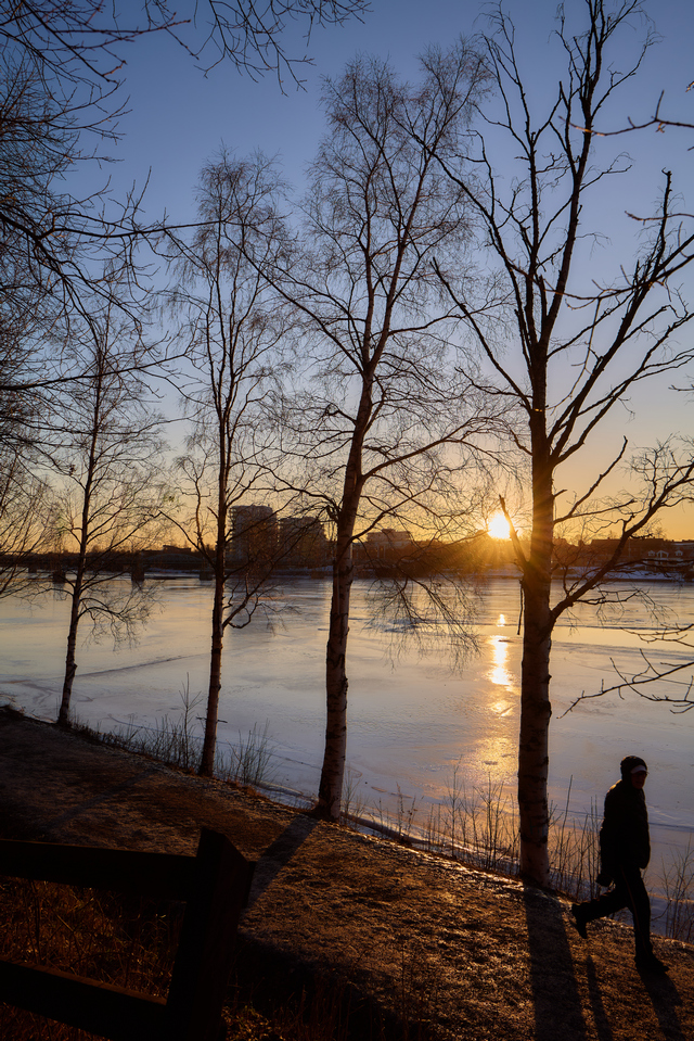 panasonic s pro 24_70 28_16w.jpg