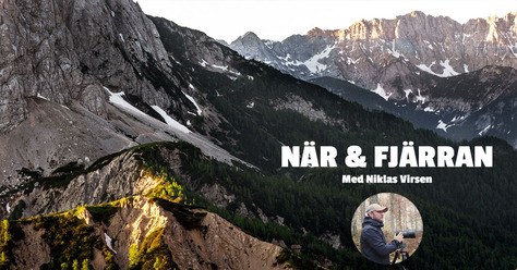 virsen_live_thumb kopiera.jpg