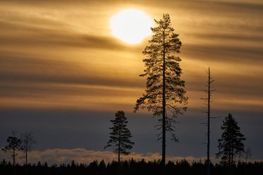 Sony E 70-350G OSS_10.jpg