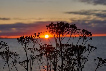 Sigma 18-50 f2.8 Sony_blogg.jpg