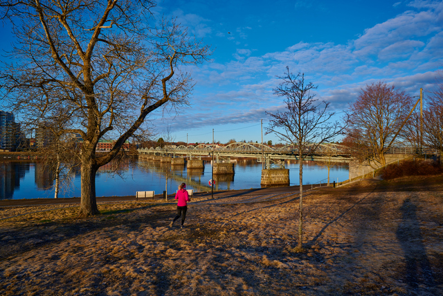 Nikon Z 20mm f1,8_12w.jpg