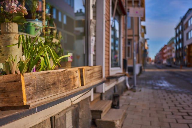 Sony 40mm f2.5_15w.jpg