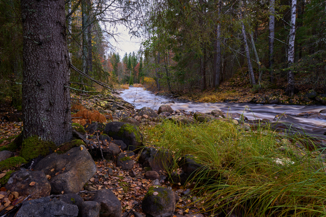 sigma_14 24 2.8_sony_6w.jpg