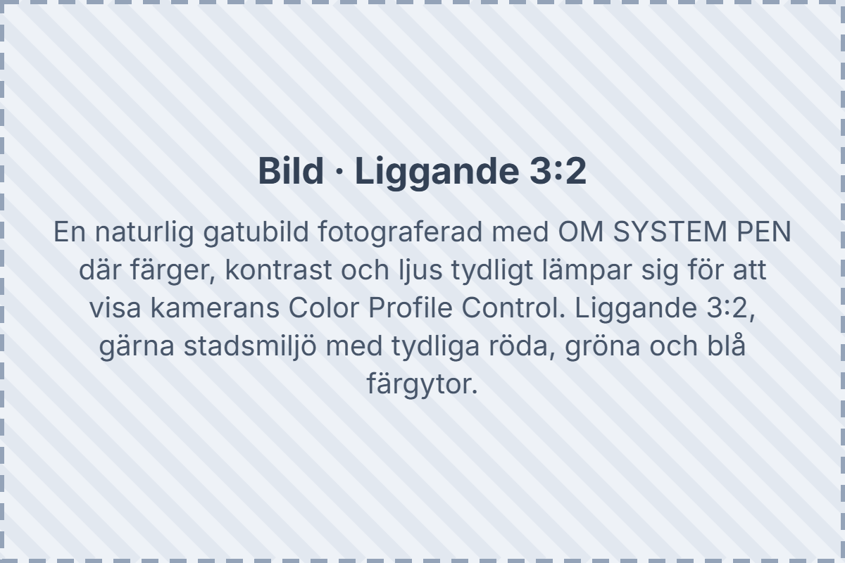 platshallare-sektion-3-liggande-3x2_1.png-imgcenter