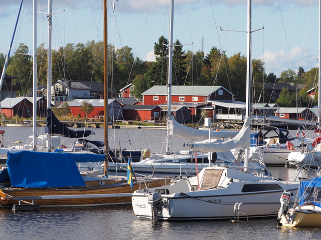 Olympus 100-400_12w.jpg