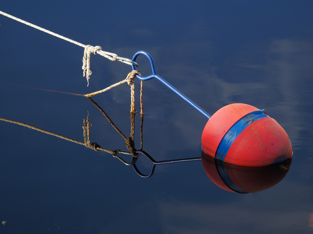 Olympus 100-400_20w.jpg