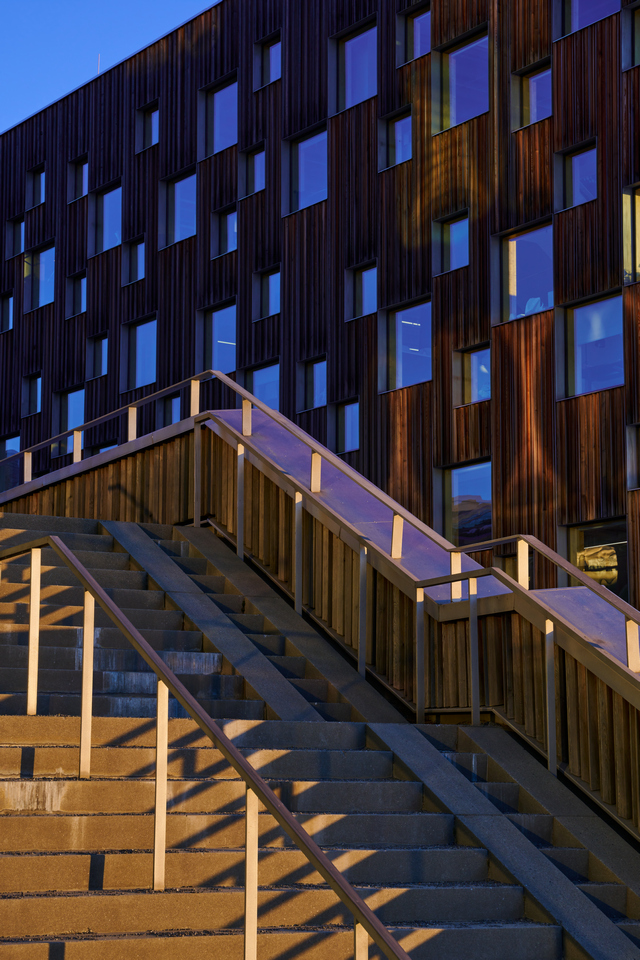 Nikon Z 28-75 f2.8_24w.jpg