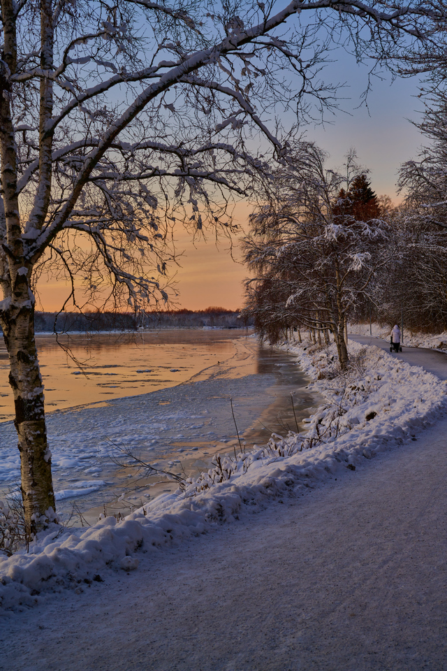 Nikon Z 50 f1.2_11w.jpg