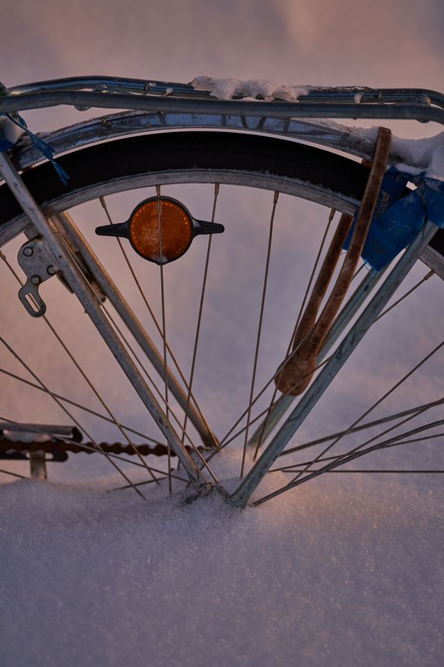 Sigma 105mm macro Sony_9w.jpg