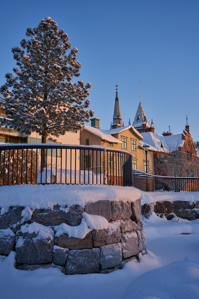 Tamron 20-40mm_24w.jpg