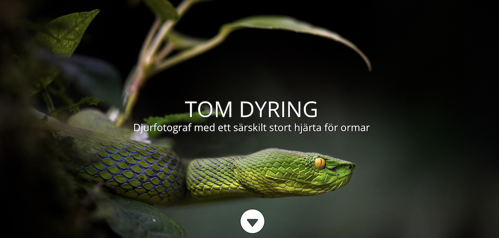 Skärmavbild 2021-05-05 kl. 08.40.52.png