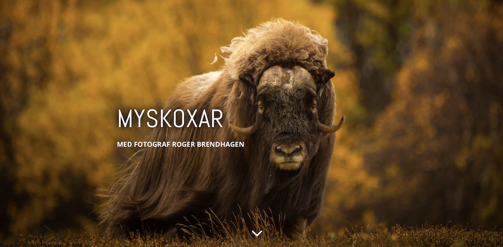 Skärmavbild 2022-11-02 kl. 13.06.35.png