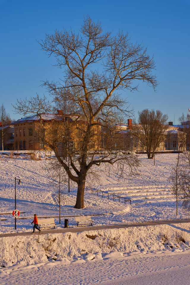 sigma 24-70 art sony_13w.jpg