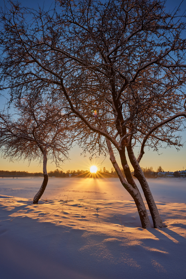 Canon RF 24mm f1.8_14w.jpg