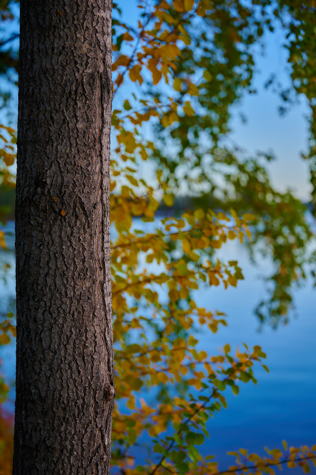 Nikon Z 70-200 f2.8_4w.jpg