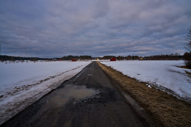 Sigma 17mm f4 so_6w.jpg