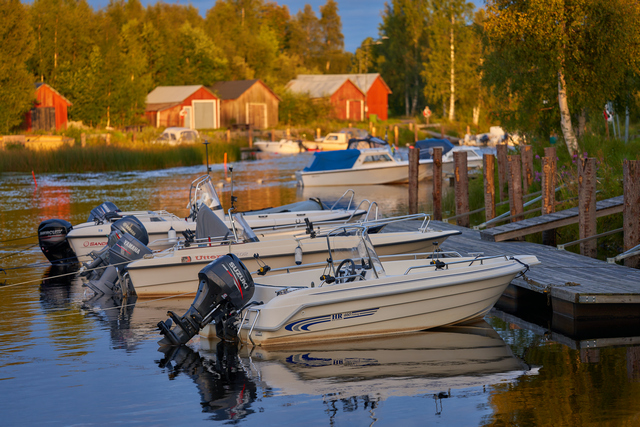 Voigtländer Macro 110mm_21w.jpg