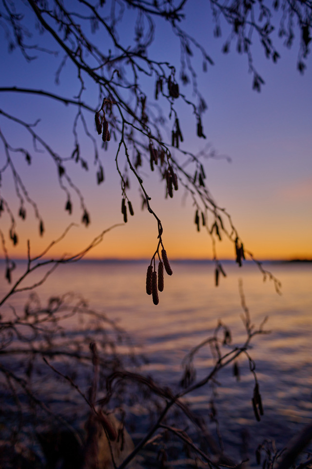 Nikon Z 28mm f2.8_10w.jpg