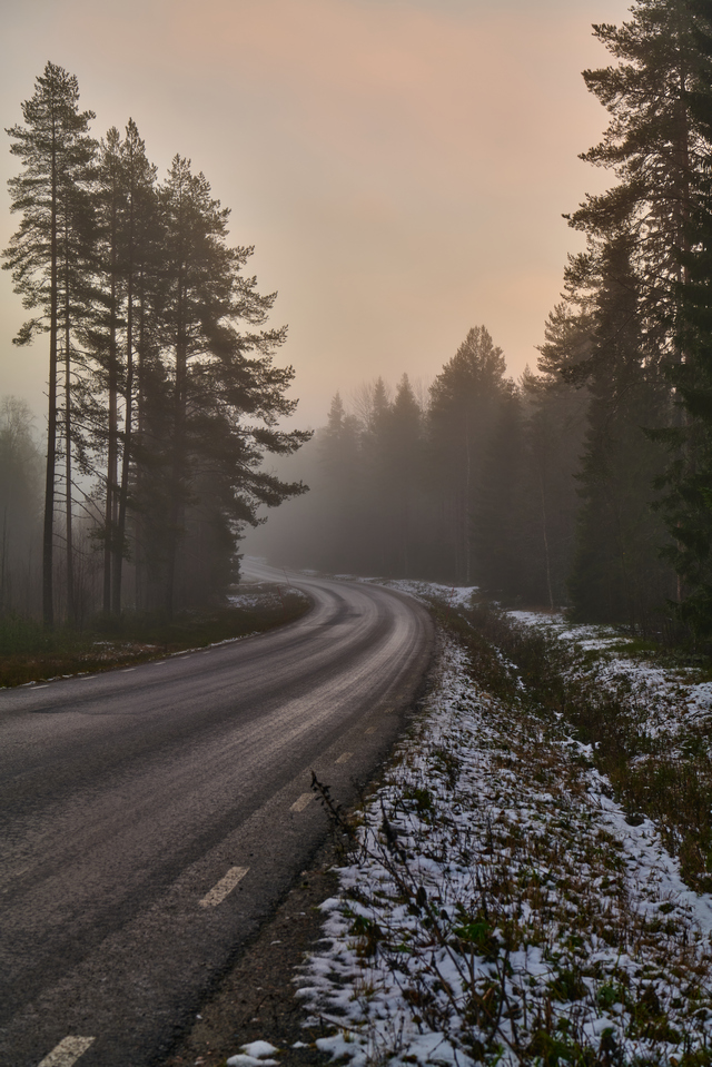 Panasonic S 50mm f1.4_18w.jpg