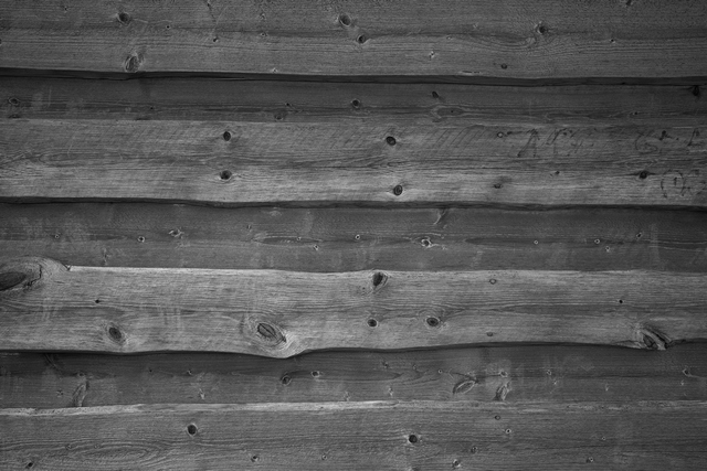 Sony 50mm f1.2_25w.jpg