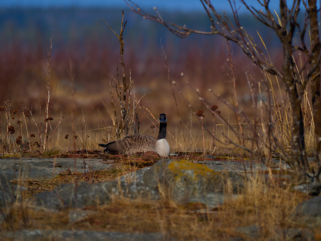 Olympus 150-400mm_22w.jpg