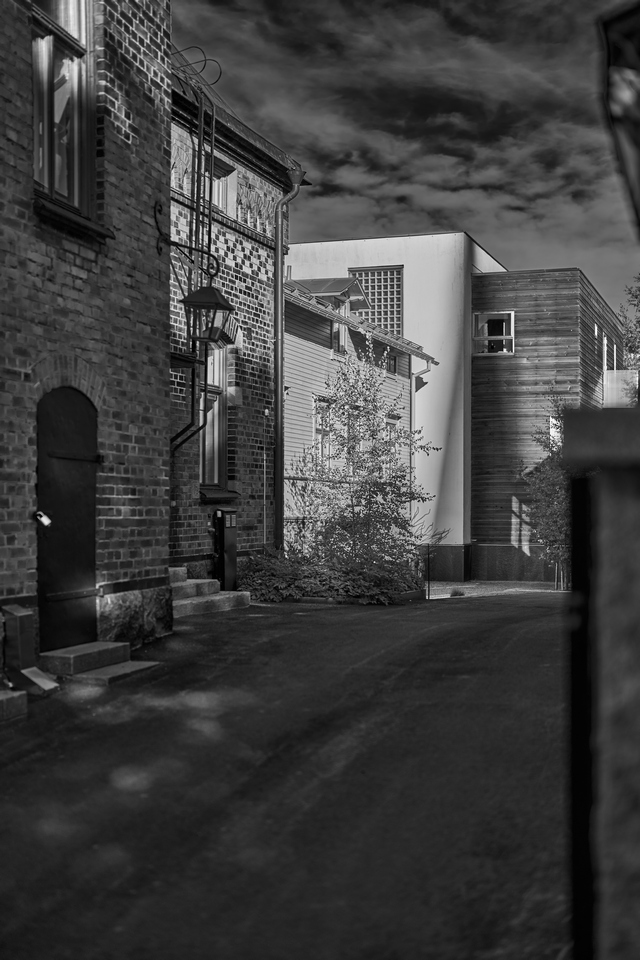 Sony 50mm f1.2_1w.jpg