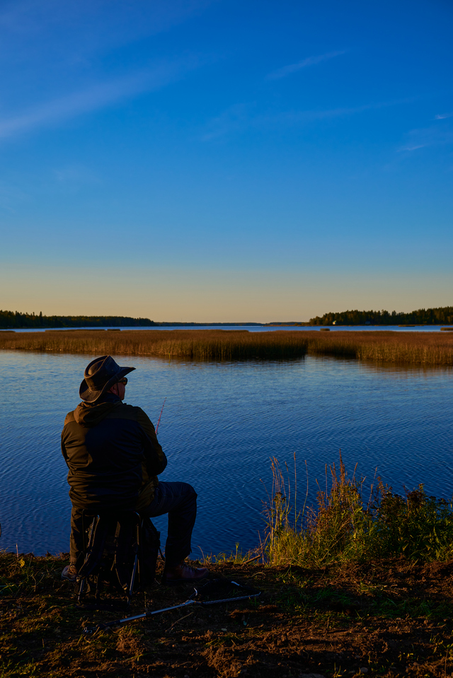 Nikon Z 24-200_12w.jpg