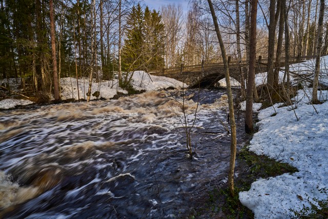 Sigma 17mm f4_3w.jpg