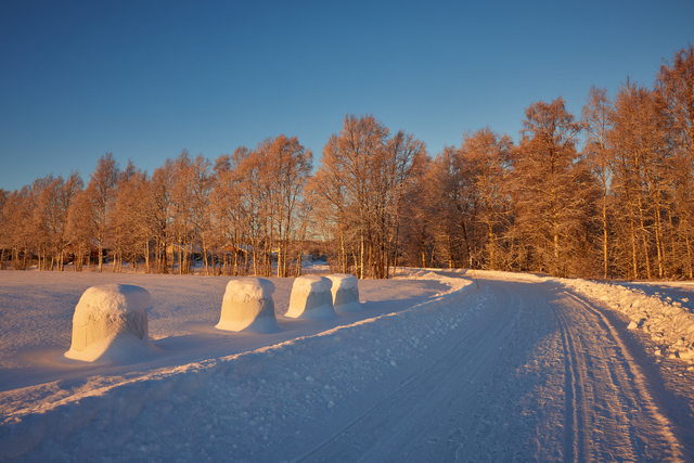 Canon RF 24mm f1.8_19w.jpg