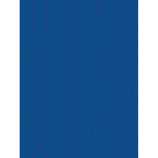 X-Drop 5510, bakgrundstyg 1,5 x 2,1m - Modern Vintage Harmony