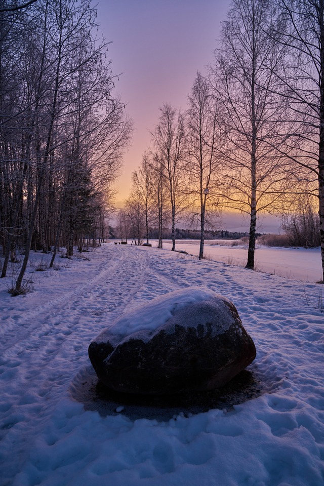 Nikon Z 24-120mm_30w.jpg