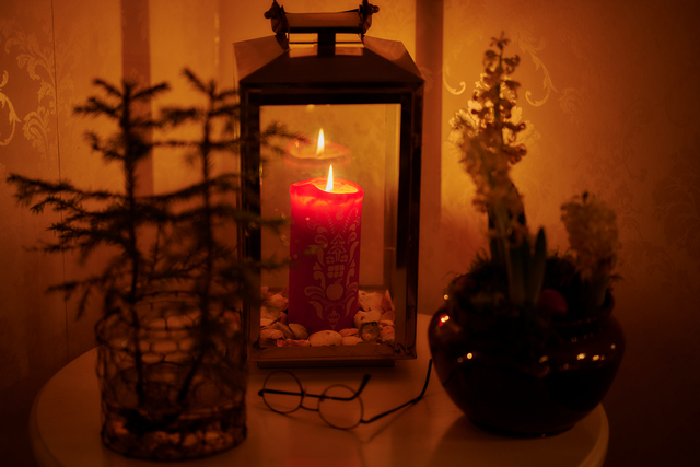 Nikon Z 85 1.8_20w.jpg