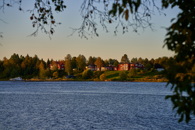 Sigma 90mm f2.8 DN_4w.jpg