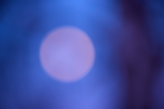 Canon RF 70-200f4_22w.jpg