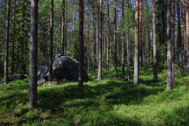 Canon EOS R7_16w.jpg