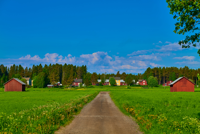 Panasonic S 85 f1.8_11w.jpg