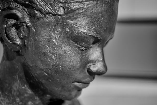 Nikon Z 50mm macro_2w.jpg