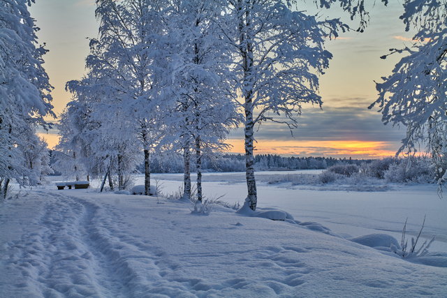 Panasonic S 20-60mm_15w.jpg