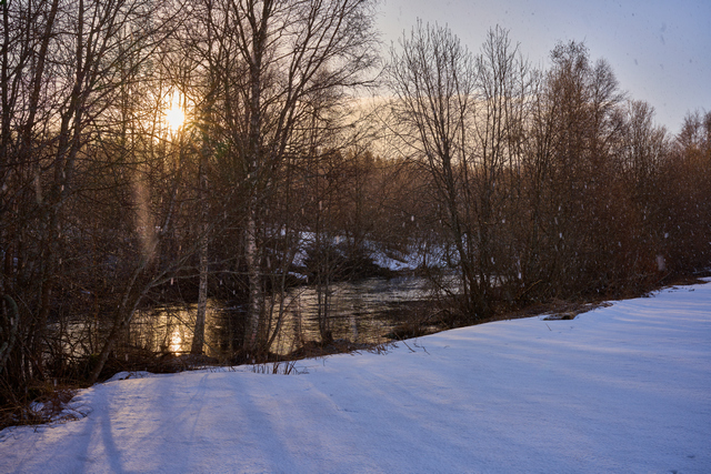 Sigma 35mm f1.4 DN_20w.jpg