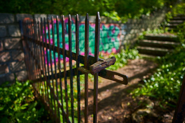 Samyang 24mm f1.8_17w.jpg