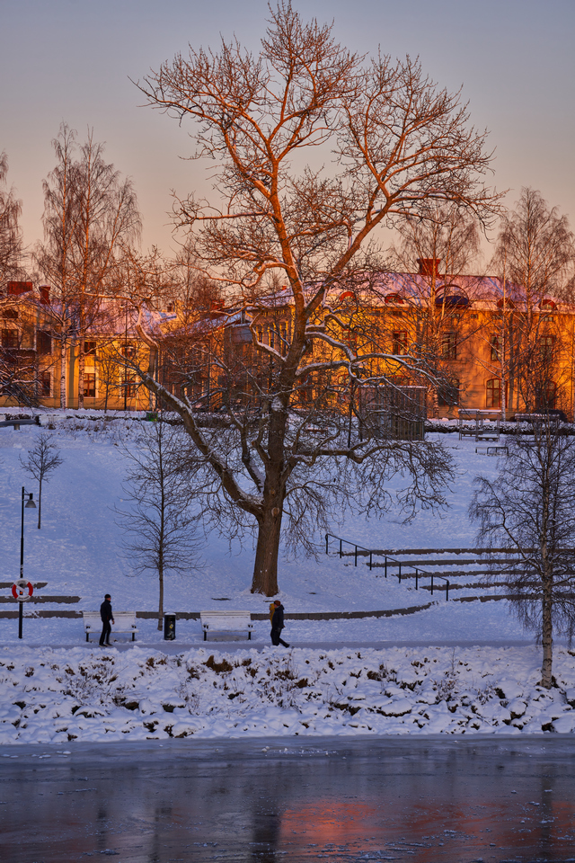 Sigma 100-400mm_6w.jpg