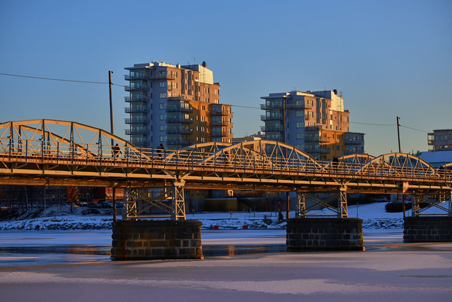 laowa 65 f2,8 macro_5w.jpg